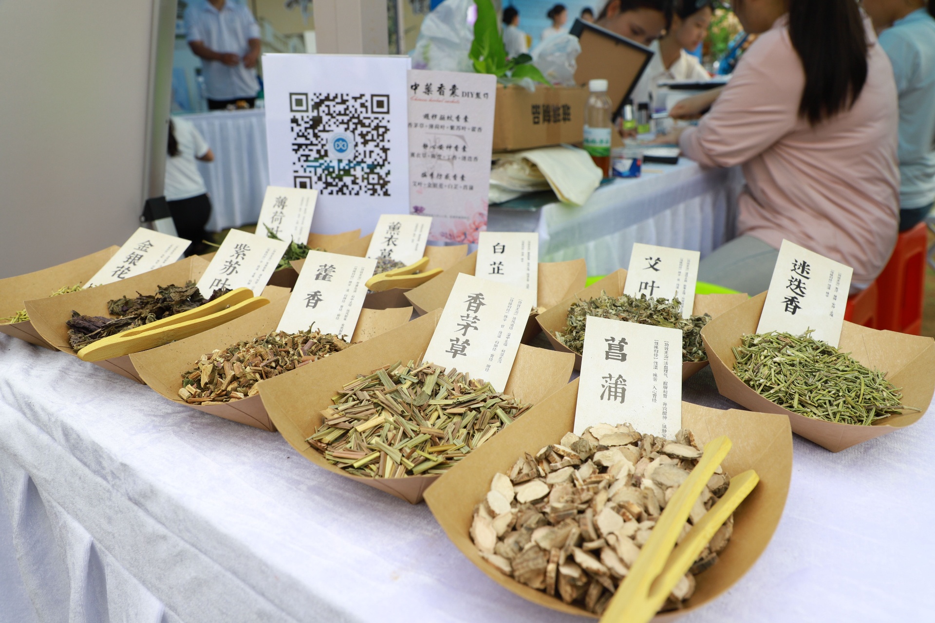 鲸鱼体育指定入口